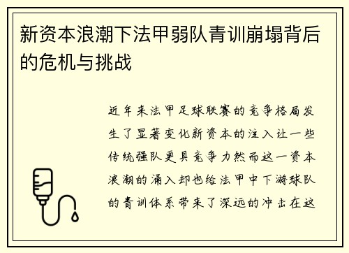新资本浪潮下法甲弱队青训崩塌背后的危机与挑战