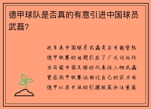 德甲球队是否真的有意引进中国球员武磊？