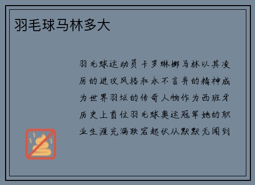 羽毛球马林多大